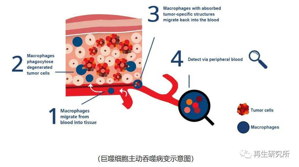 &#20339;&#21338;&#23448;&#26041;&#32593;&#31449;&#95;&#20339;&#21338;&#106;&#105;&#97;&#98;&#111;&#40;&#20013;&#22269;&#41;